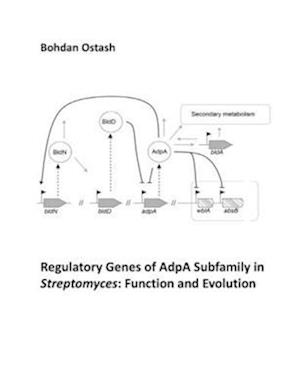 Regulatory Genes of AdpA Subfamily in Streptomyces: Function and Evolution