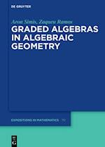 Graded Algebras in Algebraic Geometry