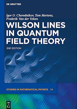 Wilson Lines in Quantum Field Theory