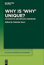 Why Is 'why' Unique?