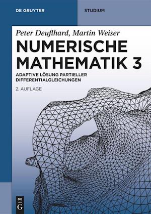 Numerische Mathematik 3