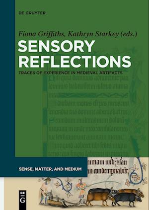 Sensory Reflections