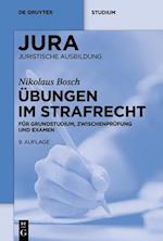 Übungen im Strafrecht