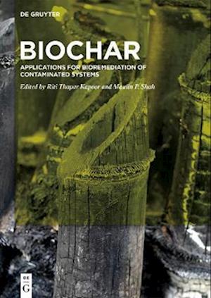 BioChar