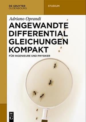 Angewandte Differentialgleichungen Kompakt