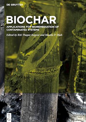 Biochar