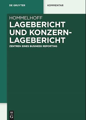 Lagebericht und Konzernlagebericht