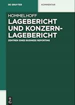 Lagebericht und Konzernlagebericht