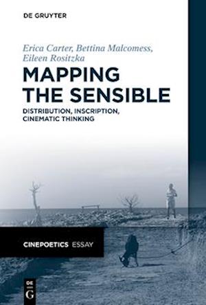 Mapping the Sensible