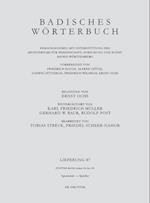 Badisches Wörterbuch V/87