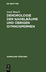 Dendrologie der Nadelbäume und übrigen Gymnospermen