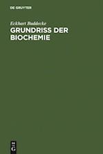 Grundriß der Biochemie