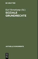 Soziale Grundrechte