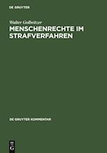 Menschenrechte im Strafverfahren