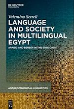 Language, Society and Ideologies in Multilingual Egypt