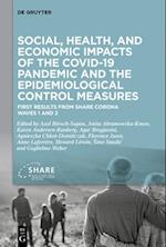 Social, health, and economic impacts of the COVID-19 pandemic and the epidemiological control measures