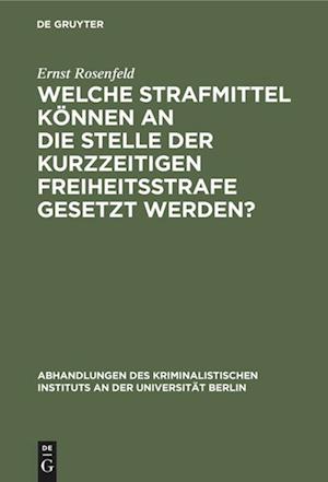 Welche Strafmittel Können an Die Stelle Der Kurzzeitigen Freiheitsstrafe Gesetzt Werden?