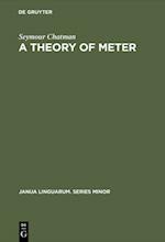 Theory of Meter
