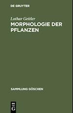 Morphologie der Pflanzen