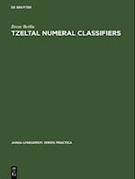 Tzeltal numeral classifiers