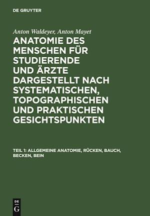 Allgemeine Anatomie, Rücken, Bauch, Becken, Bein