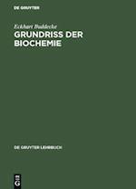 Grundriss der Biochemie