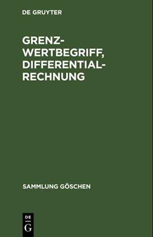 Grenzwertbegriff, Differentialrechnung