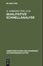 Qualitative Schnellanalyse