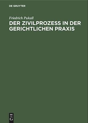 Der Zivilprozeß in Der Gerichtlichen Praxis