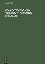 Diccionario del Hebreo Y Arameo Biblicos