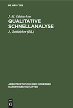 Qualitative Schnellanalyse