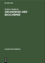 Grundriss Der Biochemie