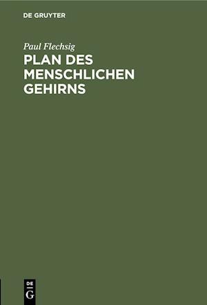 Plan des menschlichen Gehirns