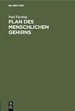 Plan des menschlichen Gehirns