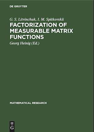 Factorization of Measurable Matrix Functions