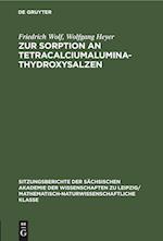 Zur Sorption an Tetracalciumaluminathydroxysalzen