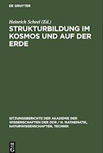 Strukturbildung im Kosmos und auf der Erde