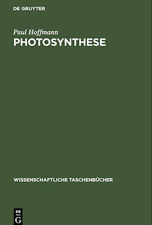 Photosynthese