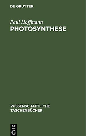 Photosynthese