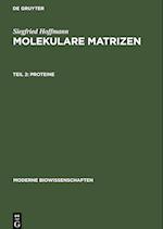 Molekulare Matrizen, Teil 2, Proteine