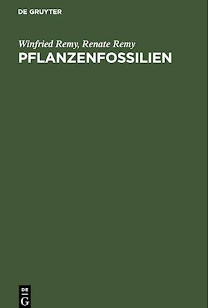 Pflanzenfossilien