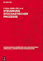 Steuerung Stochastischer Prozesse