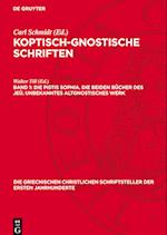 Koptisch-Gnostische Schriften , Band 1, Die Pistis Sophia. Die beiden Bücher des Jeû. Unbekanntes altgnostisches Werk