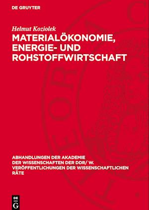 Materialökonomie, Energie- und Rohstoffwirtschaft