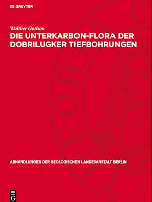 Die Unterkarbon-Flora der Dobrilugker Tiefbohrungen