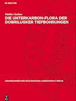 Die Unterkarbon-Flora der Dobrilugker Tiefbohrungen