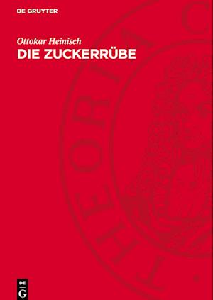 Die Zuckerrübe