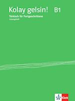 Kolay gelsin! Türkisch für Fortgeschrittene. Lösungsheft zu Lehr-und Arbeitsbuch