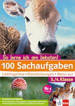 100 Sachaufgaben 3./4. Klasse