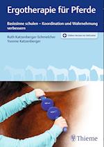 Ergotherapie für Pferde